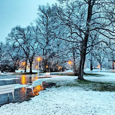 Apartment Grun Wald *